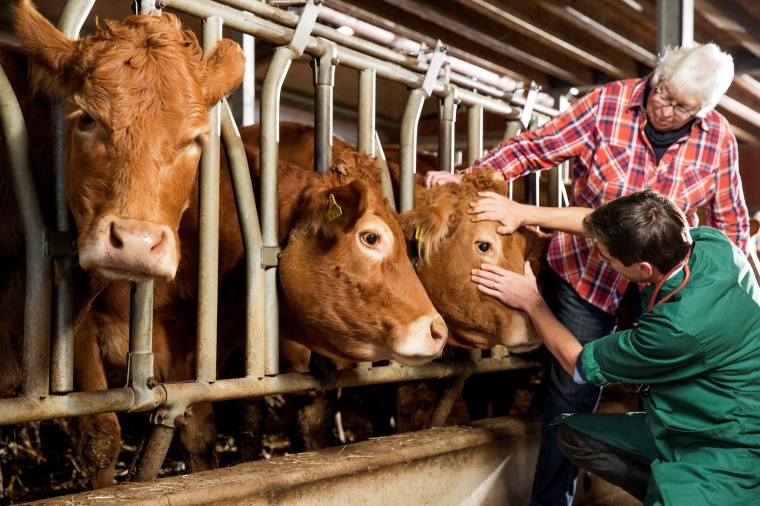 Bayer to Sell Animal Health to Elanco (c) Bayer