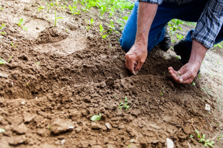 BASF invests $4 million in AgVentures II Fund