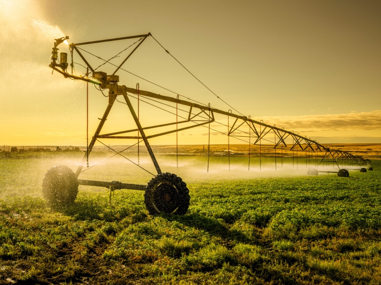 Thiacloprid now Effectively Banned in the EU (c) Bayer AG