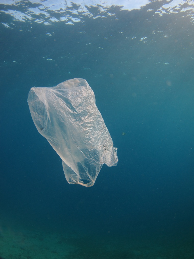 China to Put Curbs on Single-use Plastics (c) Jenny Lord/Shutterstock