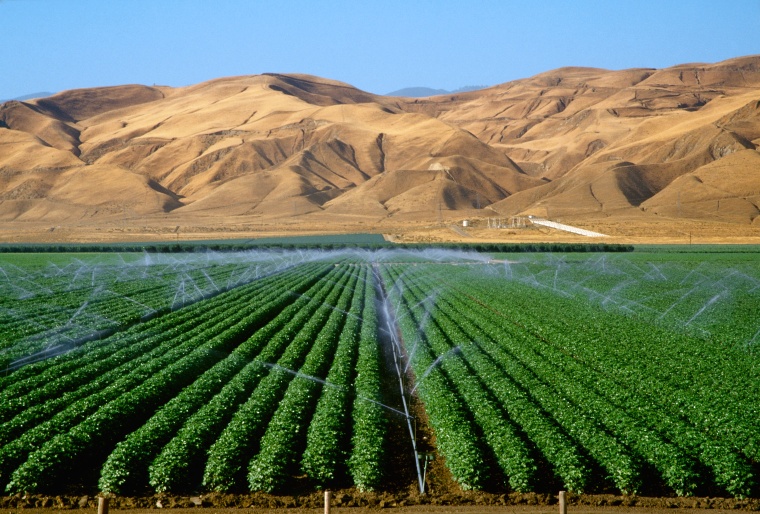 ICL Boosts Digital Services with Growers Buy (c) Design Pics Inc/Alamy Stock...