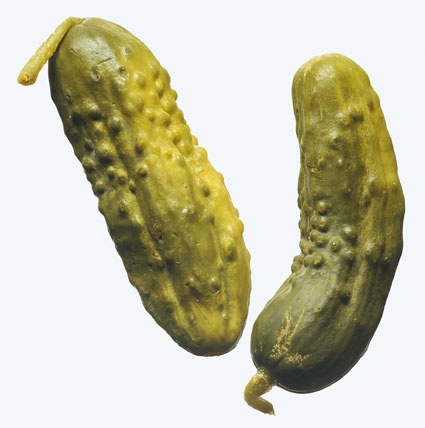 Pickle Juice Cuts Costs at Dupont