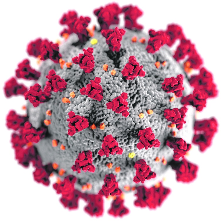 : With the rapid spread of the coronavirus, the question also arose of how...