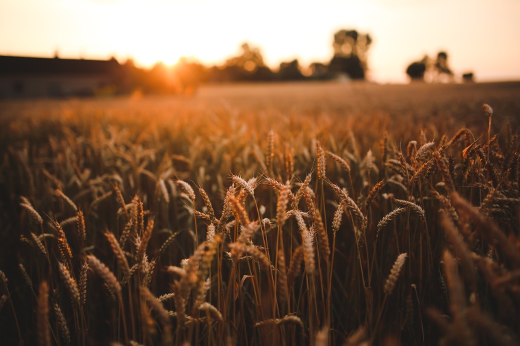 Bayer has clinched a $9 billion deal to settle three-quarters of its...