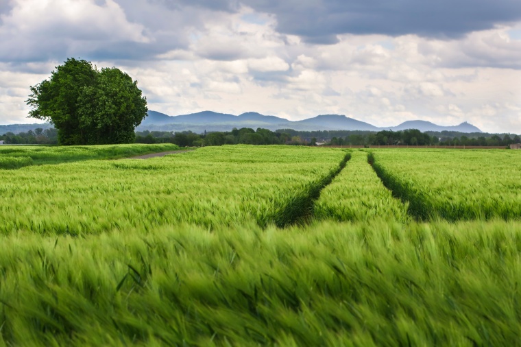 Swiss-headquartered multinational private investor Partners Group has agreed to...
