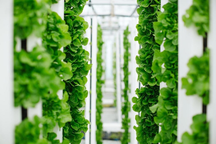 Bayer’s life science investment arm Leaps by Bayer and Singapore investor...