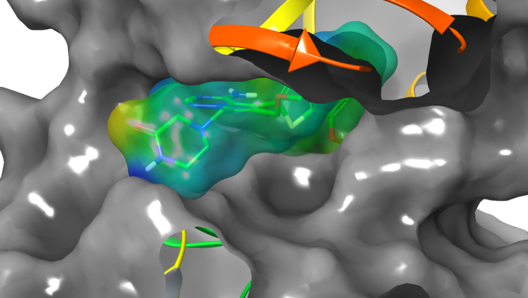 The companies Schrödinger and Bayer are jointly developing a de novo design...