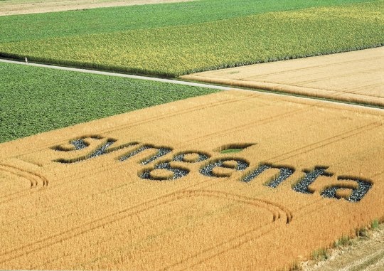 Syngenta has acquired Italian biologicals firm Valagro for an undisclosed sum....