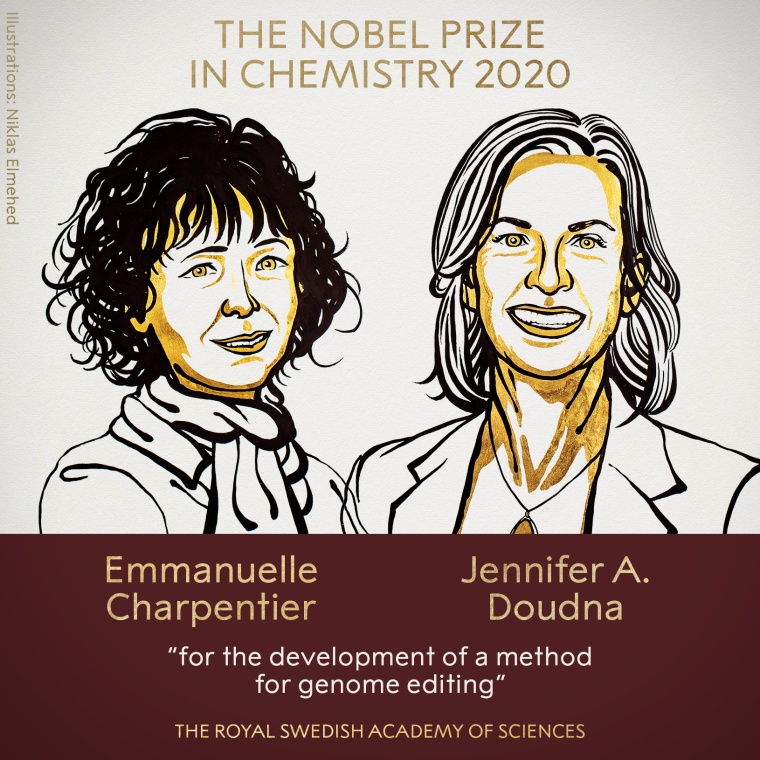 The team of Emmanuelle Charpentier from the Max Planck Unit for the Science of...