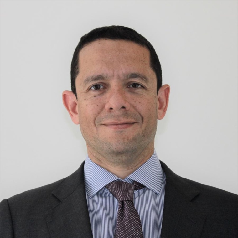 Fernando J. Gómez is the Head of the Chemical and Advanced Materials industry...