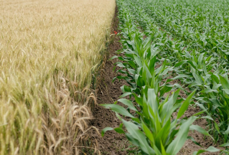 The US Environmental Protection Agency (EPA) is finally banning the use of the...