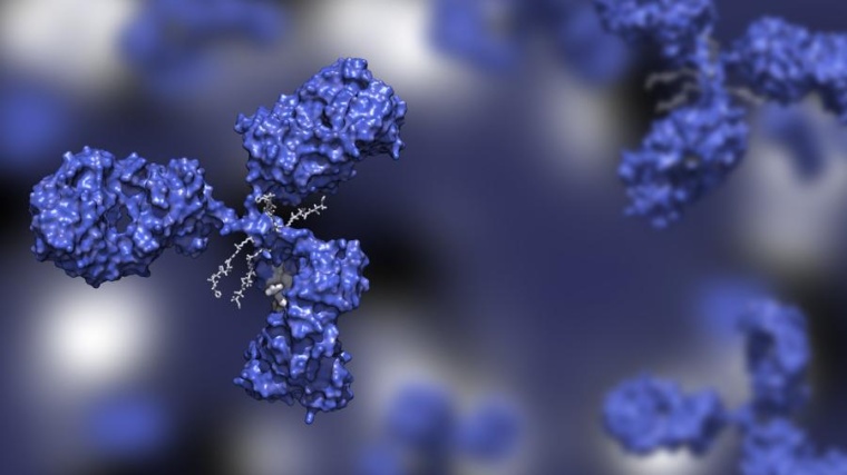 Successfully managing the drug substance manufacturing of Antibody-Drug...