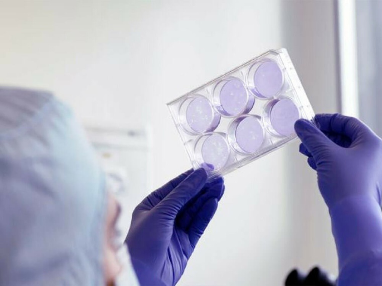 French CDMO Clean Cells will spend €13 million to expand production in...
