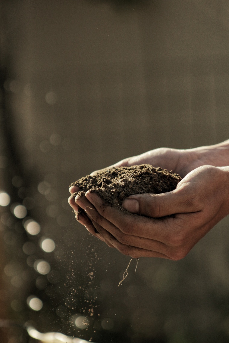 Novozymes is partnering Anuvia Plant Nutrients to develop combined...