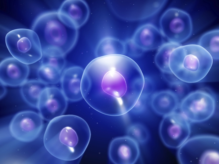Virtual specialty materials manufacturer Aceto has acquired A&C Bio Buffer, a...