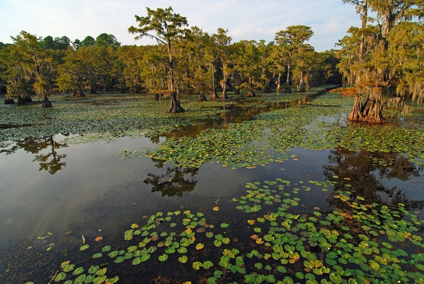 Air Products has launched its biggest-ever US project, a $4.5 billion clean...