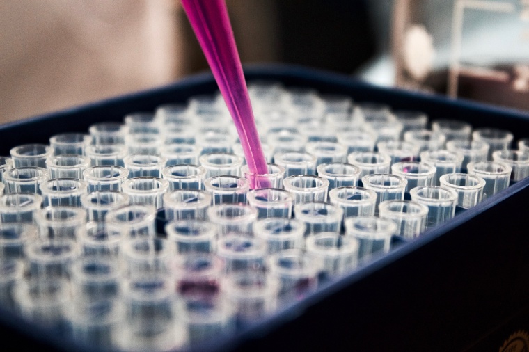 Catalent is investing in a $230 million expansion project at its US gene...