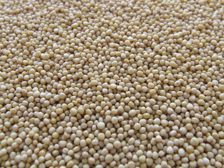 US food and nutrition group ADM has acquired Sojaprotein, a Serbian provider of...