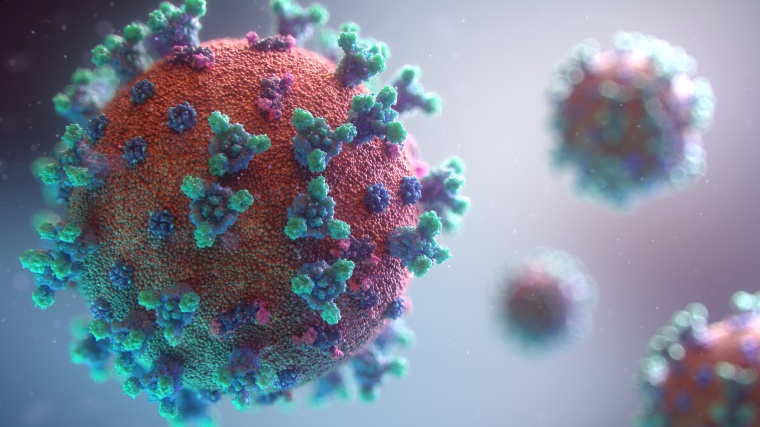 (c) Fusion Medical Animation