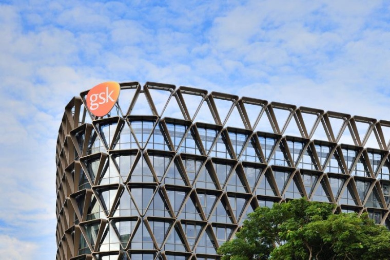 © GlaxoSmithKline
