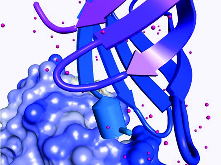 FastCompChem is unleashing quantum mechanics in computer aided drug design...