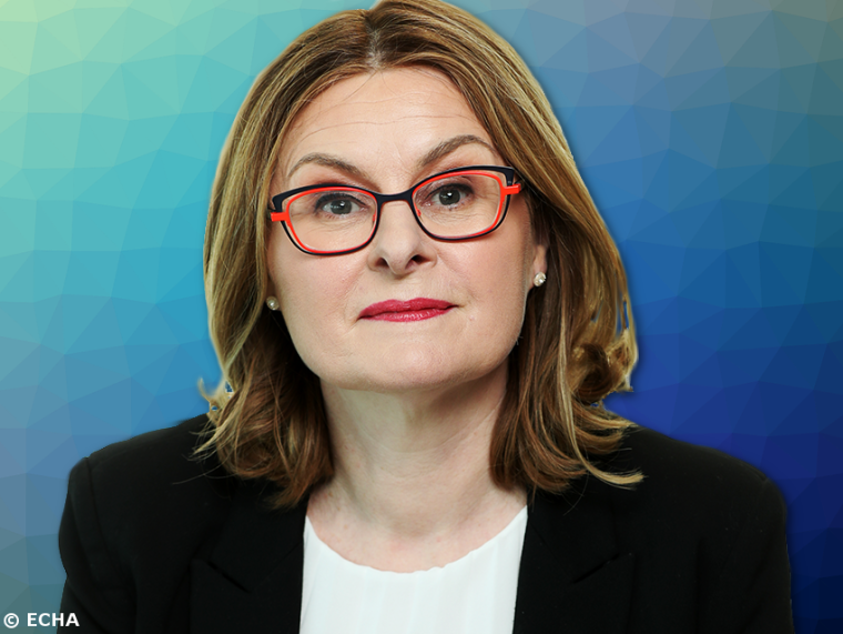 Sharon McGuiness, ECHA Chief Executive