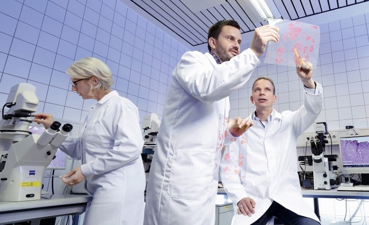 Researchers examining tumor tissue sections. Systematic and extensive...