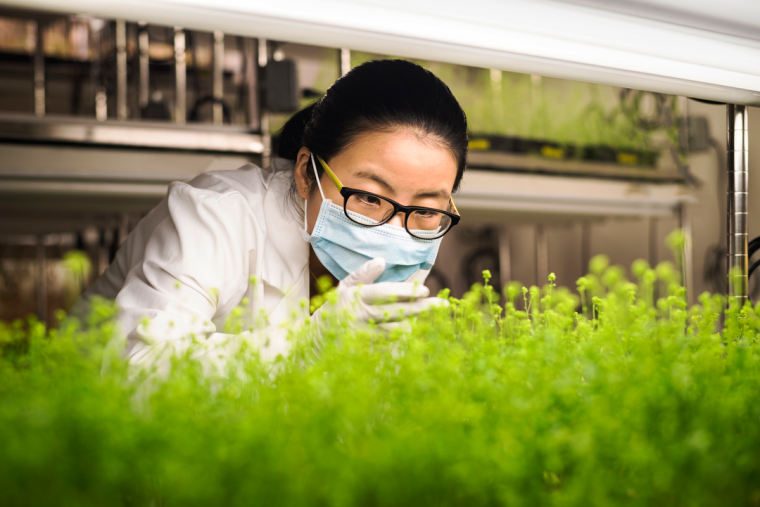 Collaboration across industries grows following the launch of “Shoots by...