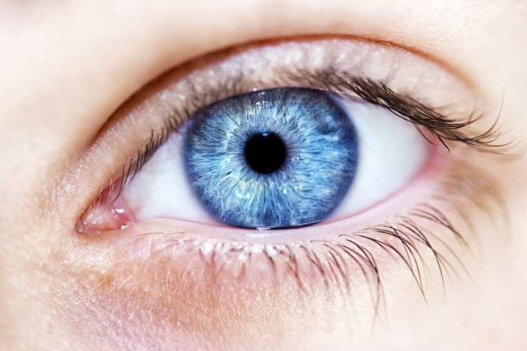 © Shutterstock