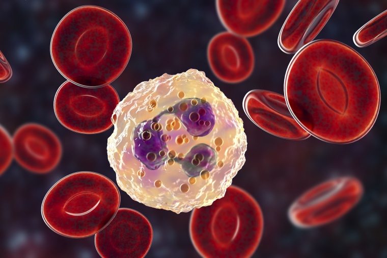 © KATERYNA KON/SCIENCE PHOTO LIBRARY/Getty Images