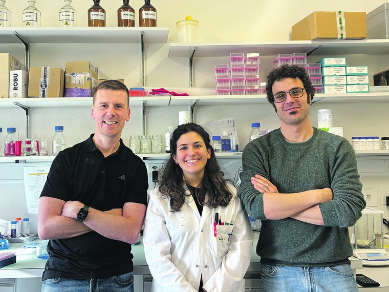 The Inseit team (from left to right, Gordon Honeyman, Cristina Lia Fernández...