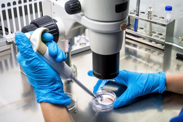 Cyprumed and MSD Enter Licensing Agreement for Oral Peptide Therapeutics