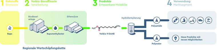 Moleküle aus Biomasse: nachhaltig und wirtschaftlich
