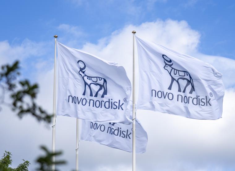 Novo Nordisk logo on flags