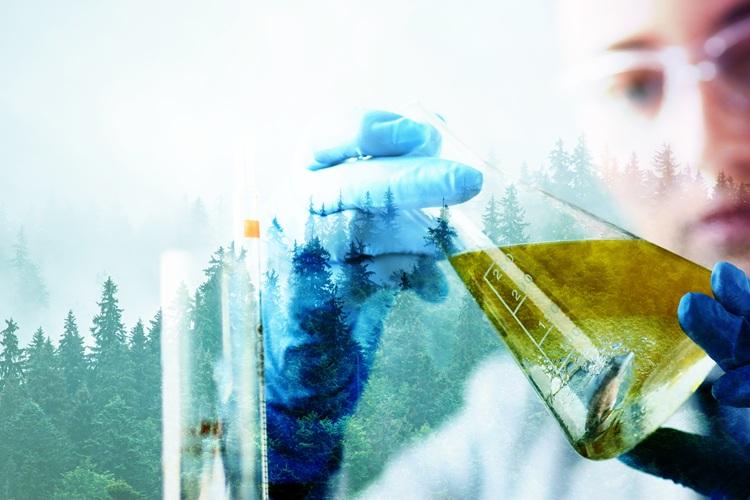 IMCD Pharmaceuticals auf der Chemspec 2026