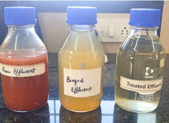 Environalage water samples