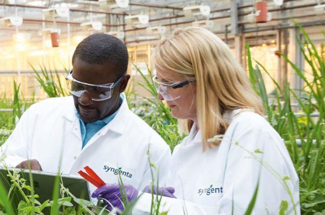 Syngenta Group steigert Profitabilität