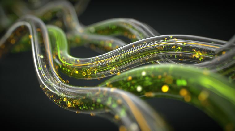 graphical representation of biomass, created with AI