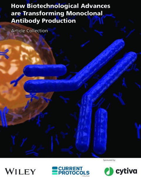 eBook Cover