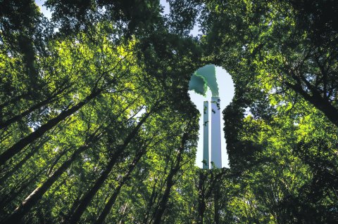 UWG-Novelle zur EmpCo-Richtlinie verschärft die Anforderungen an Umweltaussagen