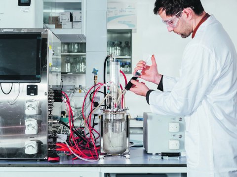 Die Hamburger Biotechfirma MicroHarvest stellt aus pflanzlichen Reststoffen Proteine her.