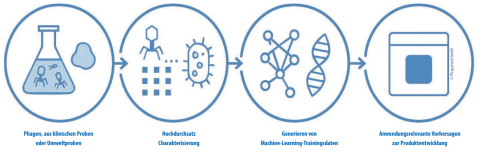 Von der Probe zur Anwendung