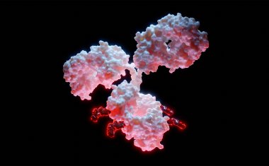 ADCs for Precision Cancer Therapy