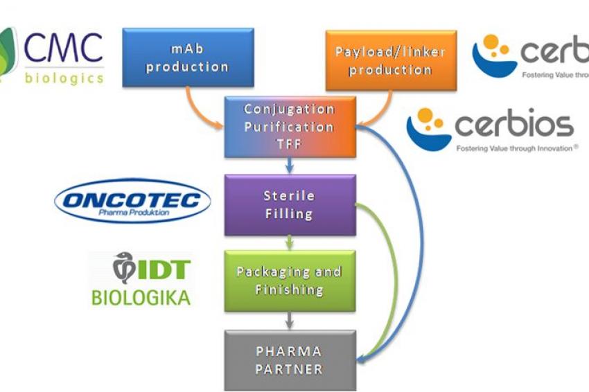 Cerbios Joins CMC Biologics And IDT Biologika In ADC Collaboration ...