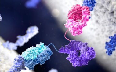 Dual‑Targeting Breakthroughs